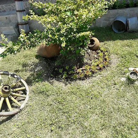 сандим Kŭrdzhali