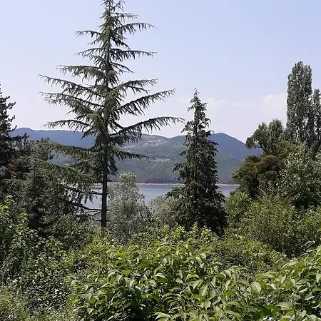 сандим 2*