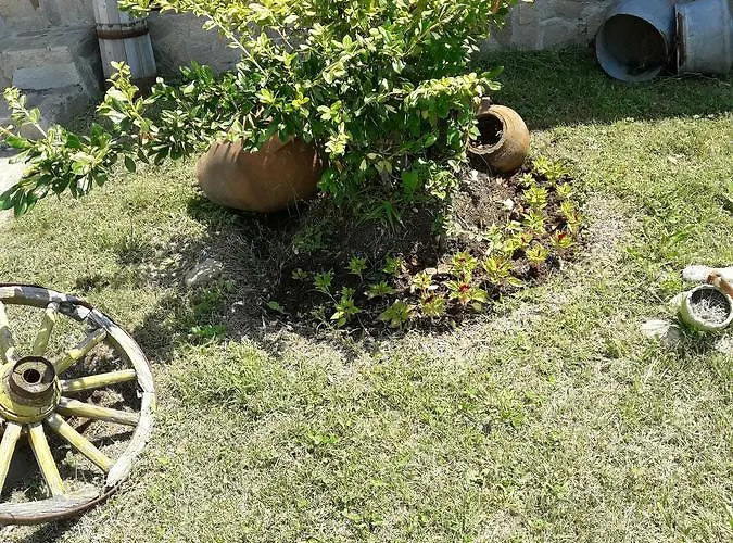 сандим Kŭrdzhali